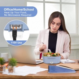 Portable Electric Lunch Box Warmer: Leak Proof, Removable Stainless Steel Container, 60W 1.5L, 110V/12V/24V