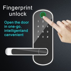Smart 5 In 1 Door Lock With Handle Biometric Technology Storage Memory Function